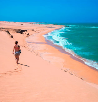 Guajira